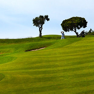 Espart - Quinta da Penha Longa - fotografia 360º e panorâmica - visita virtual