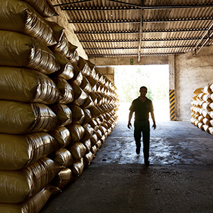 Grupo Amorim (António Queirós Design) - fotografia industrial