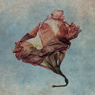 Fotografia de arte