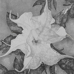 Nettie Burnett (2014) - fotografia de arte
