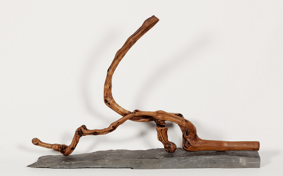 Nettie Burnett - work in progress | 2010 - fotografia de arte | art photography