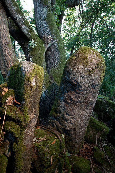 O Rio da Memória - Arqueologia no território do Leça (Catálogo)| 2009 - fotografia de arte | art photography