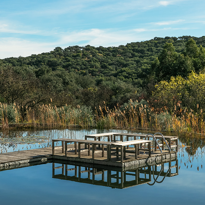 Herdade da Várzea | 2018 - Vera Cruz, Pt - fotografia de interiores e arquitectura | interiors and architectural photography