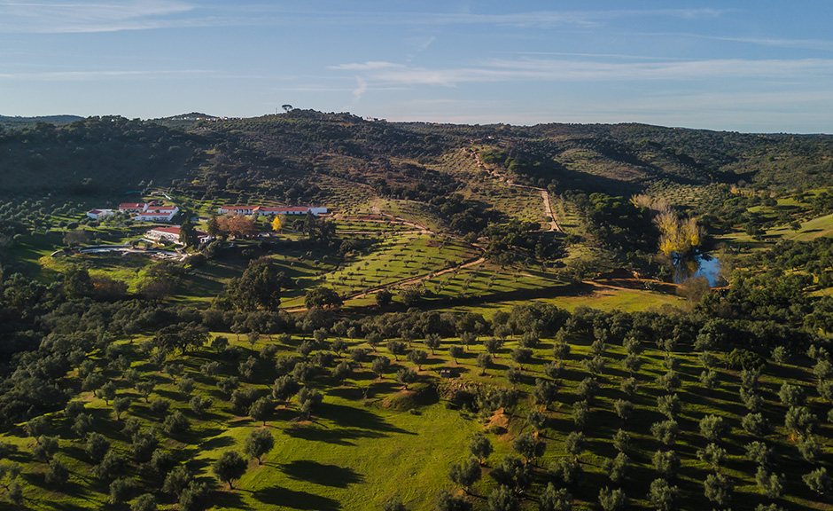 Herdade da Várzea | 2018 - Vera Cruz, Pt - fotografia de interiores e arquitectura | interiors and architectural photography