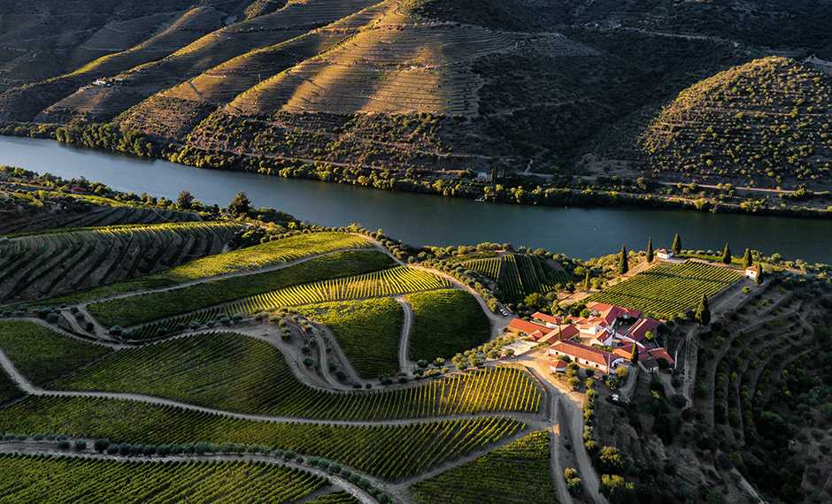 Prats & Symington - Quinta de Roriz | 2019 - Douro, Pt - fotografia de interiores e arquitectura | interiors and architectural photography