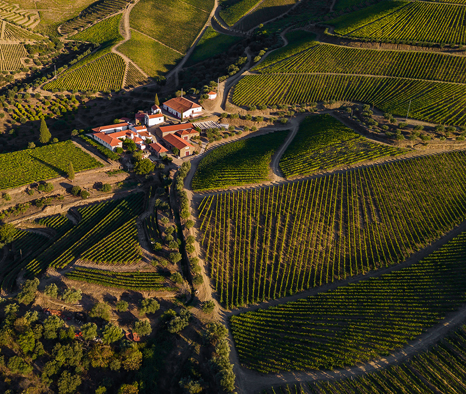 Prats & Symington - Quinta de Roriz | 2019 - Douro, Pt - fotografia de interiores e arquitectura | interiors and architectural photography