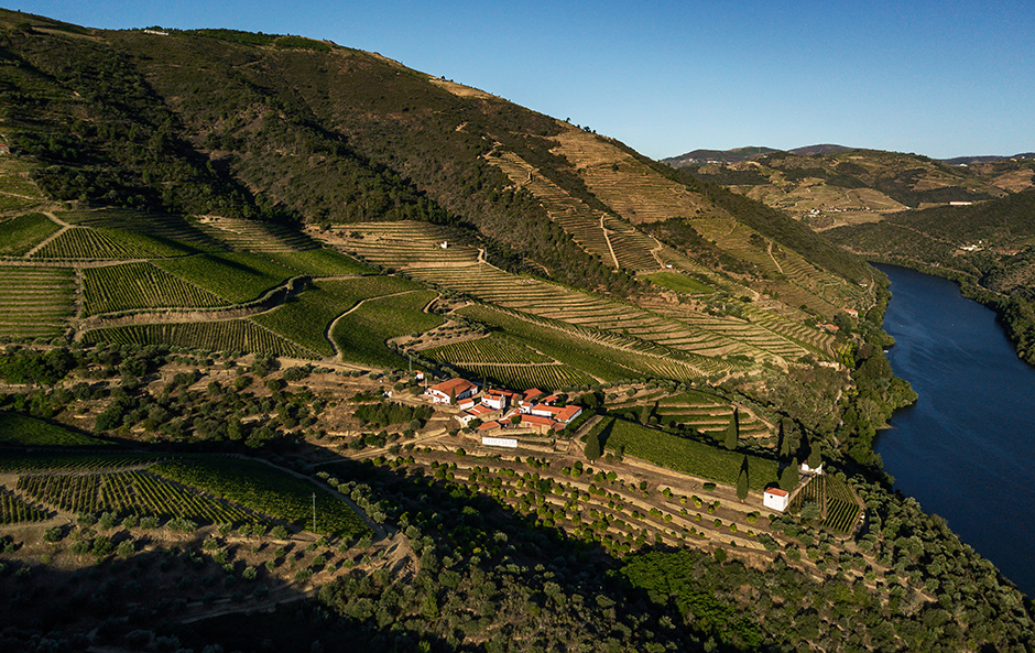 Prats & Symington - Quinta de Roriz | 2019 - Douro, Pt - fotografia de interiores e arquitectura | interiors and architectural photography
