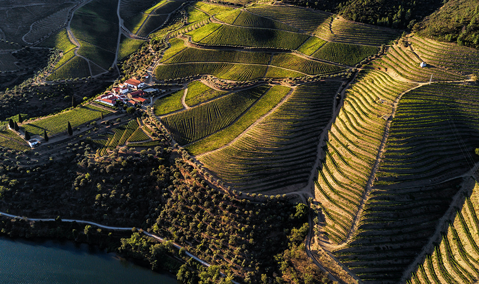 Prats & Symington - Quinta de Roriz | 2019 - Douro, Pt - fotografia de interiores e arquitectura | interiors and architectural photography
