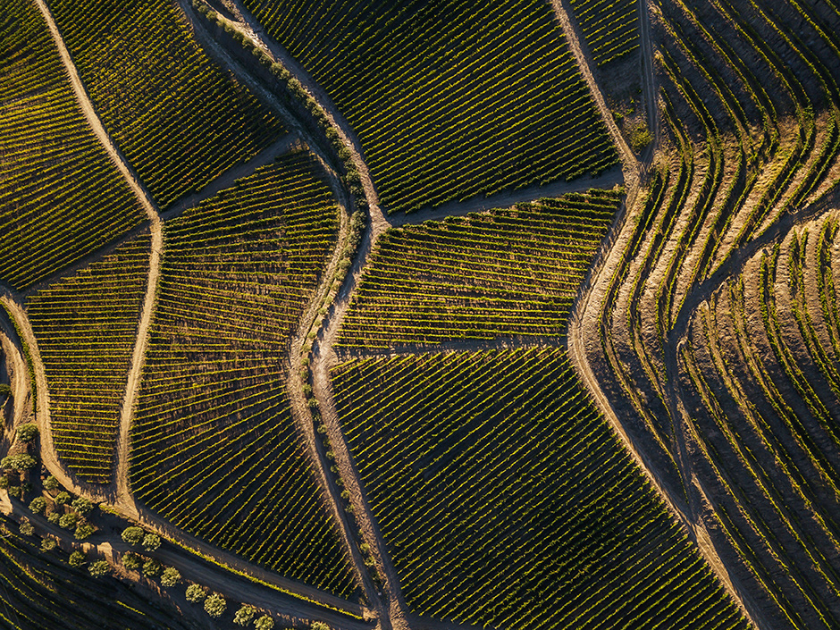 Prats & Symington - Quinta de Roriz | 2019 - Douro, Pt - fotografia de interiores e arquitectura | interiors and architectural photography