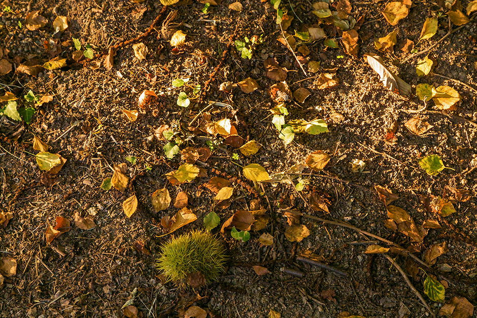 Quinta da Torrinheira | 2019 - Travanca, Pt - fotografia de interiores e arquitectura | interiors and architectural photography