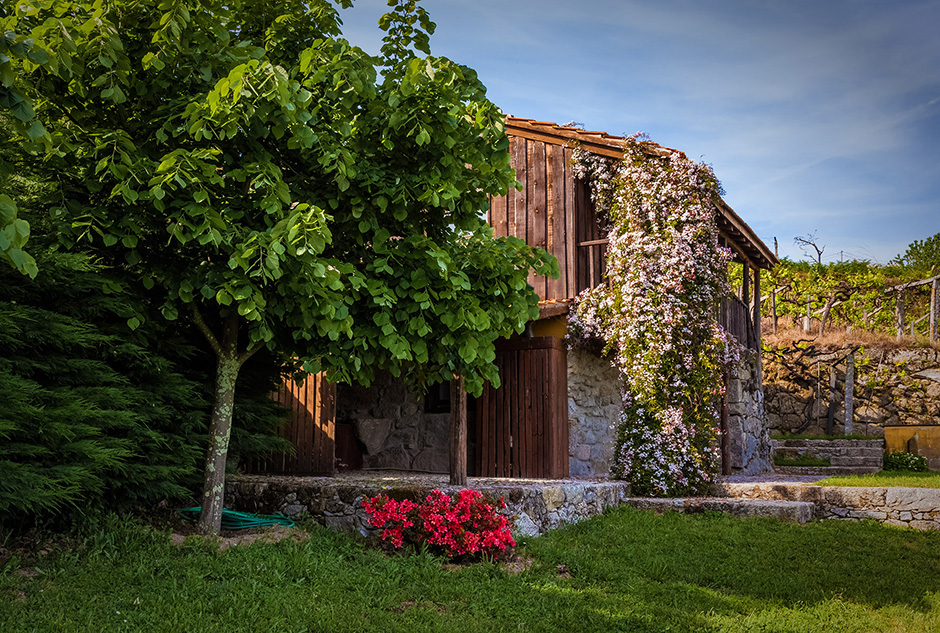 Quinta de Marnotos | 2015 - Gestaçô, Pt - fotografia de interiores e arquitectura | interiors and architectural photography