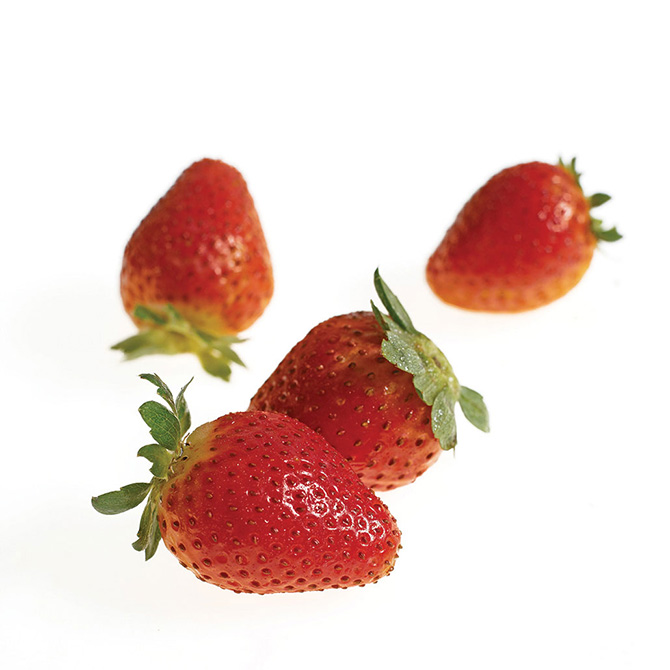 Frulact 2005 - fotografia de produto | product photography