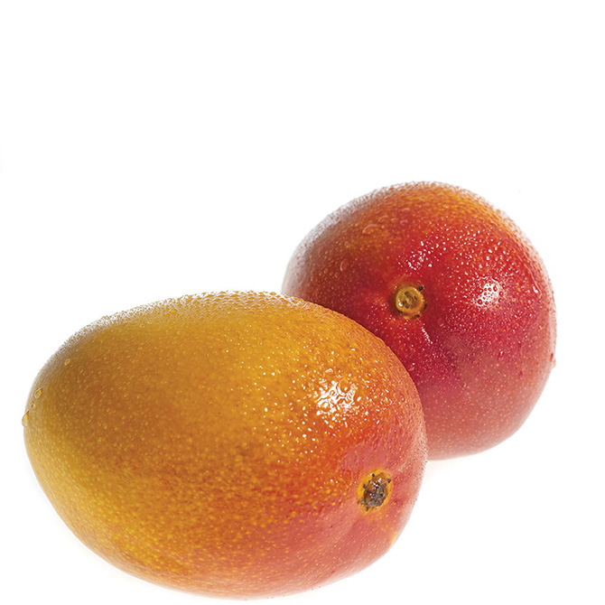 Frulact 2005 - fotografia de produto | product photography