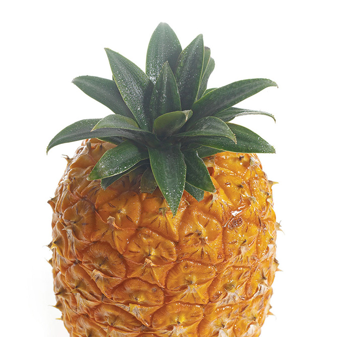 Frulact 2005 - fotografia de produto | product photography