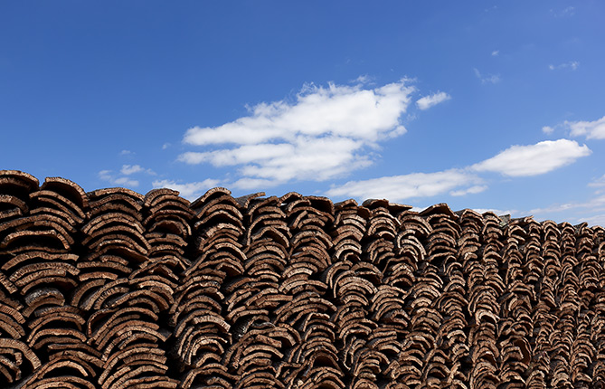 Amorim Isolamentos - fotografia industrial | industrial photography