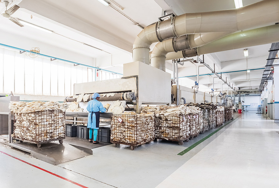 Cortadoria Nacional de Pêlo | 2015 - S. João da Madeira, Pt - fotografia industrial | industrial photography