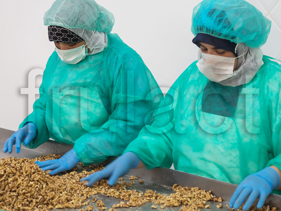 Frulact Maroc | 2017 - Larache, Marrocos - fotografia industrial | industrial photography