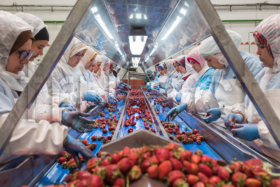 Frulact Maroc | 2017 - Larache, Marrocos - fotografia industrial | industrial photography