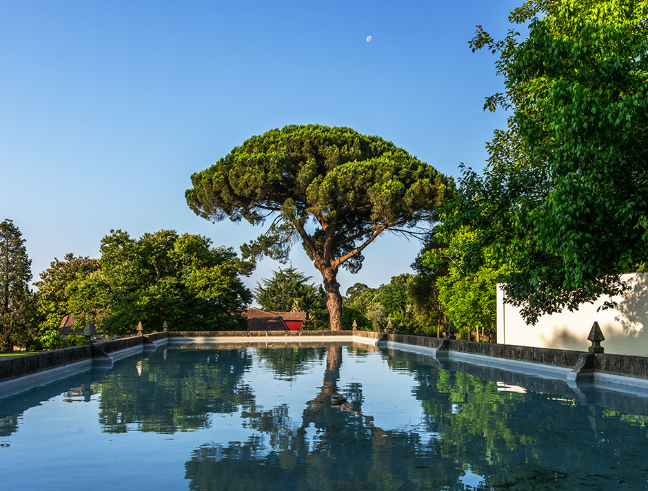 50 Tesouros do Património Identitário da Maia | 2025 - Maia, Pt - fotografia institucional | corporate photography