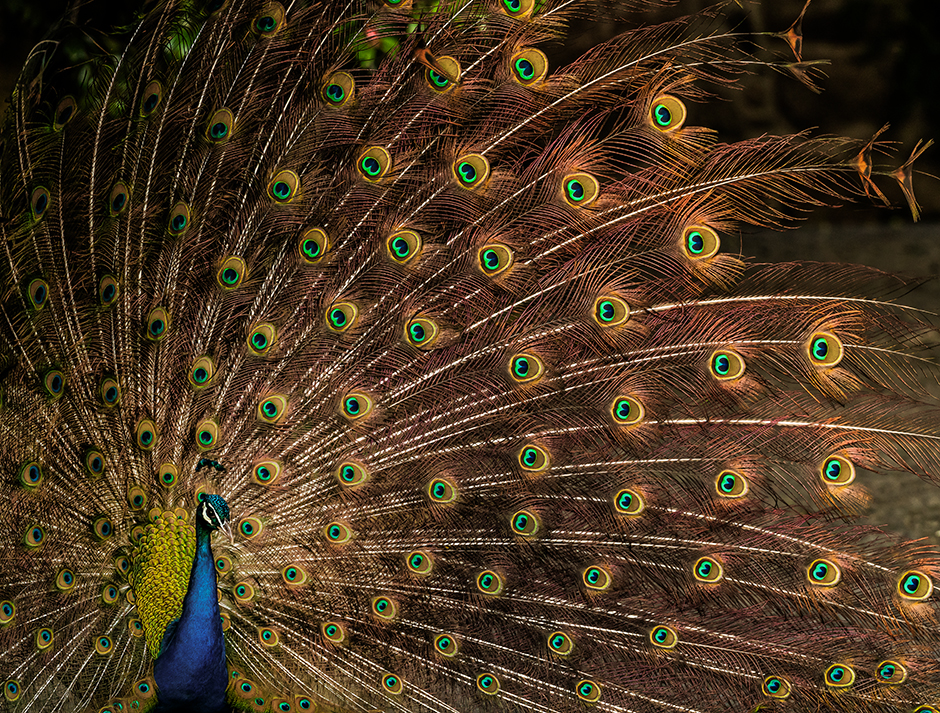 50 Tesouros do Património Identitário da Maia | 2025 - Maia, Pt - fotografia institucional | corporate photography