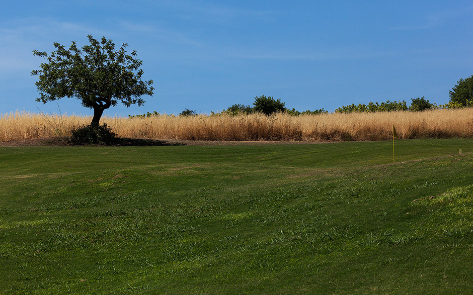 Álamos Golf - fotografia institucional | corporate photography