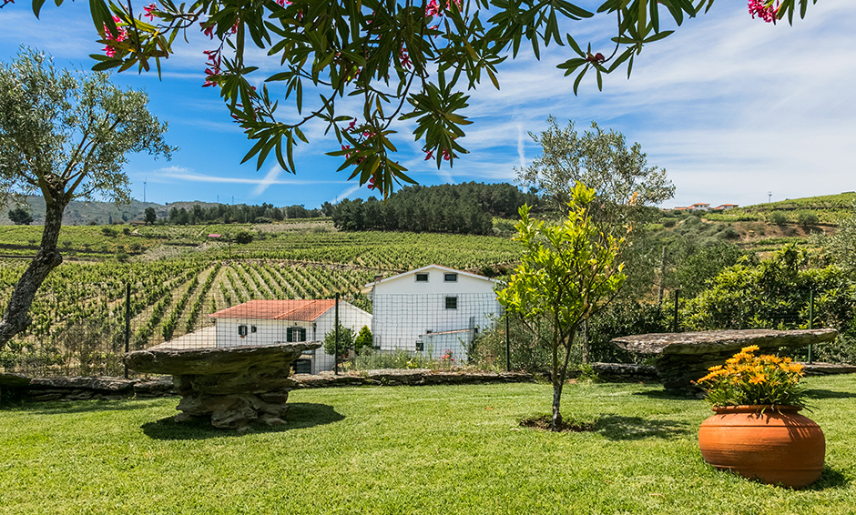 Quinta da Padrela | 2017 - Tabuaço, Pt - fotografia institucional | corporate photography
