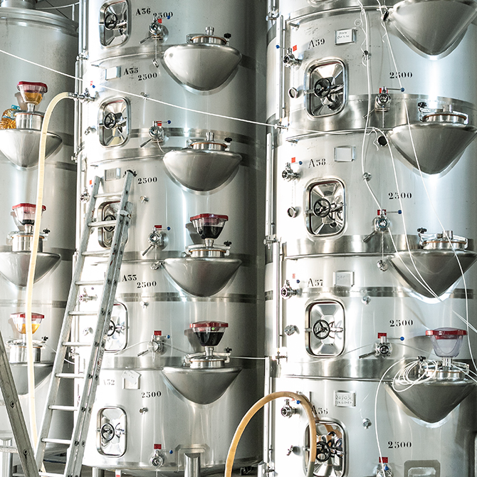 Vinihold | 2020 - Douro, Pt - fotografia institucional | corporate photography