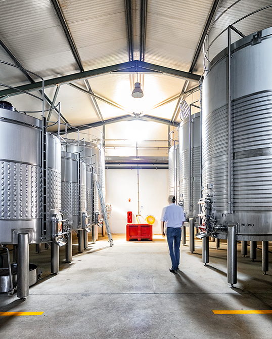 Vinihold | 2020 - Douro, Pt - fotografia institucional | corporate photography