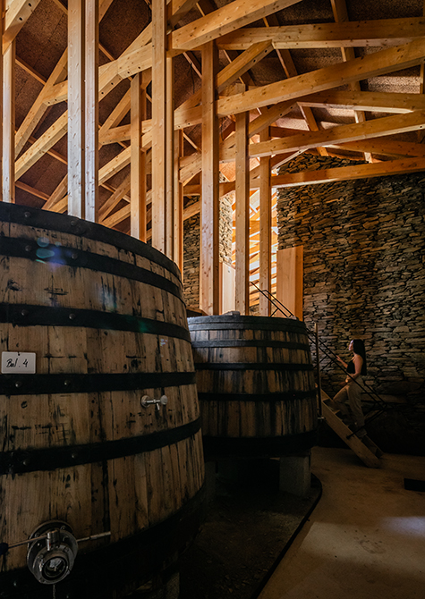 Vinihold | 2020 - Douro, Pt - fotografia institucional | corporate photography