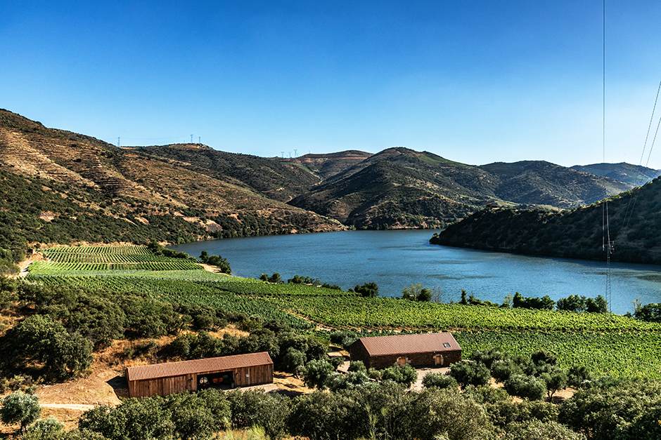 Vinihold | 2020 - Douro, Pt - fotografia institucional | corporate photography