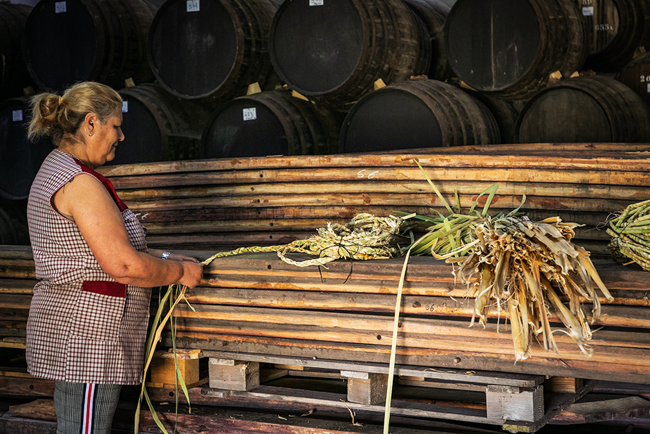 Vinihold | 2020 - Douro, Pt - fotografia institucional | corporate photography