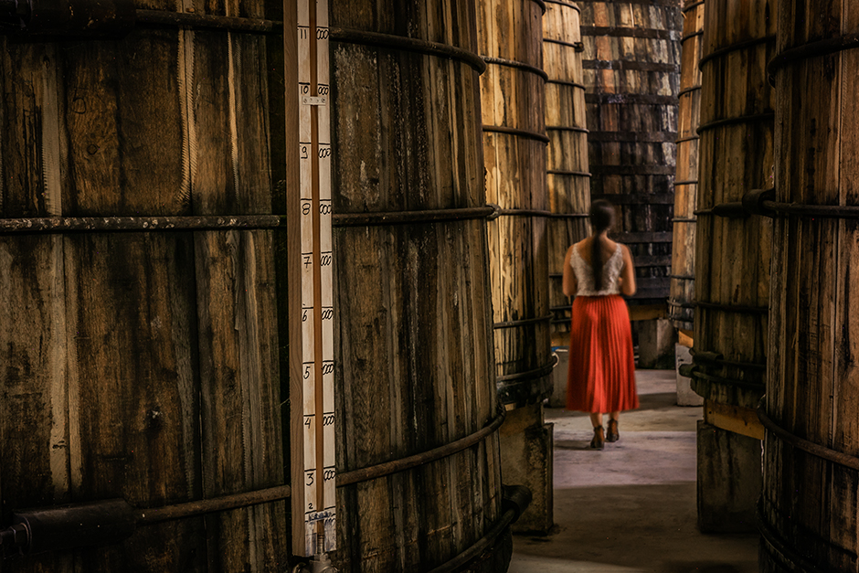 Vinihold | 2020 - Douro, Pt - fotografia institucional | corporate photography