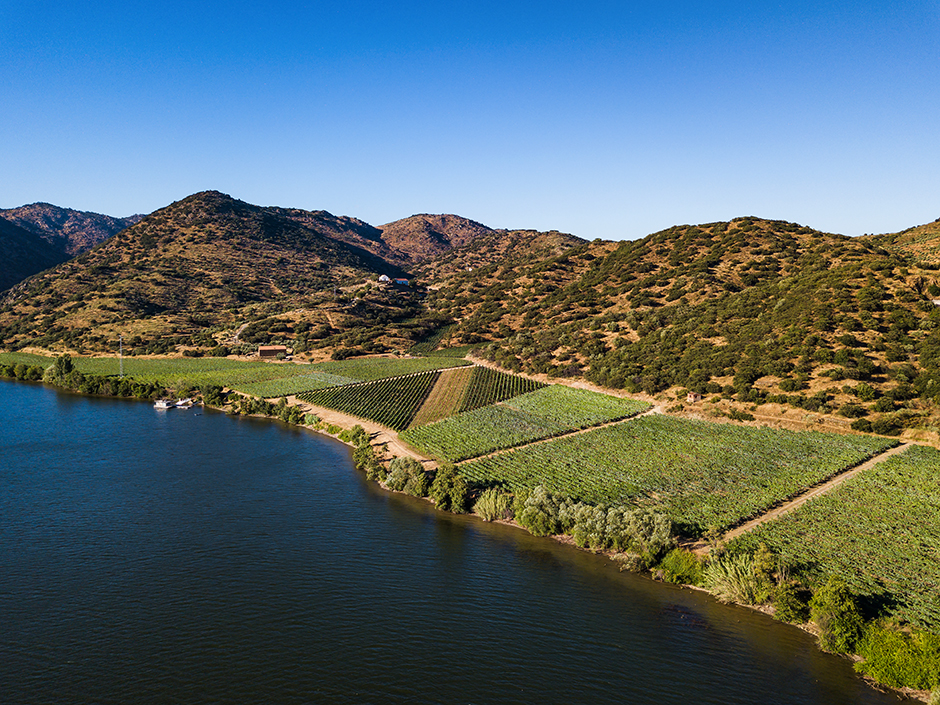 Vinihold | 2020 - Douro, Pt - fotografia institucional | corporate photography