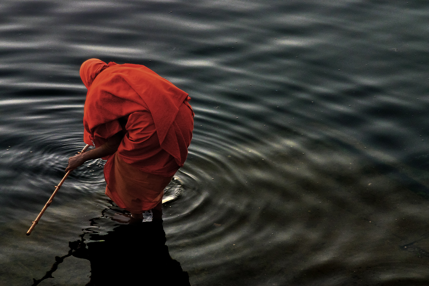 estaremos sós? - fotografia | photography