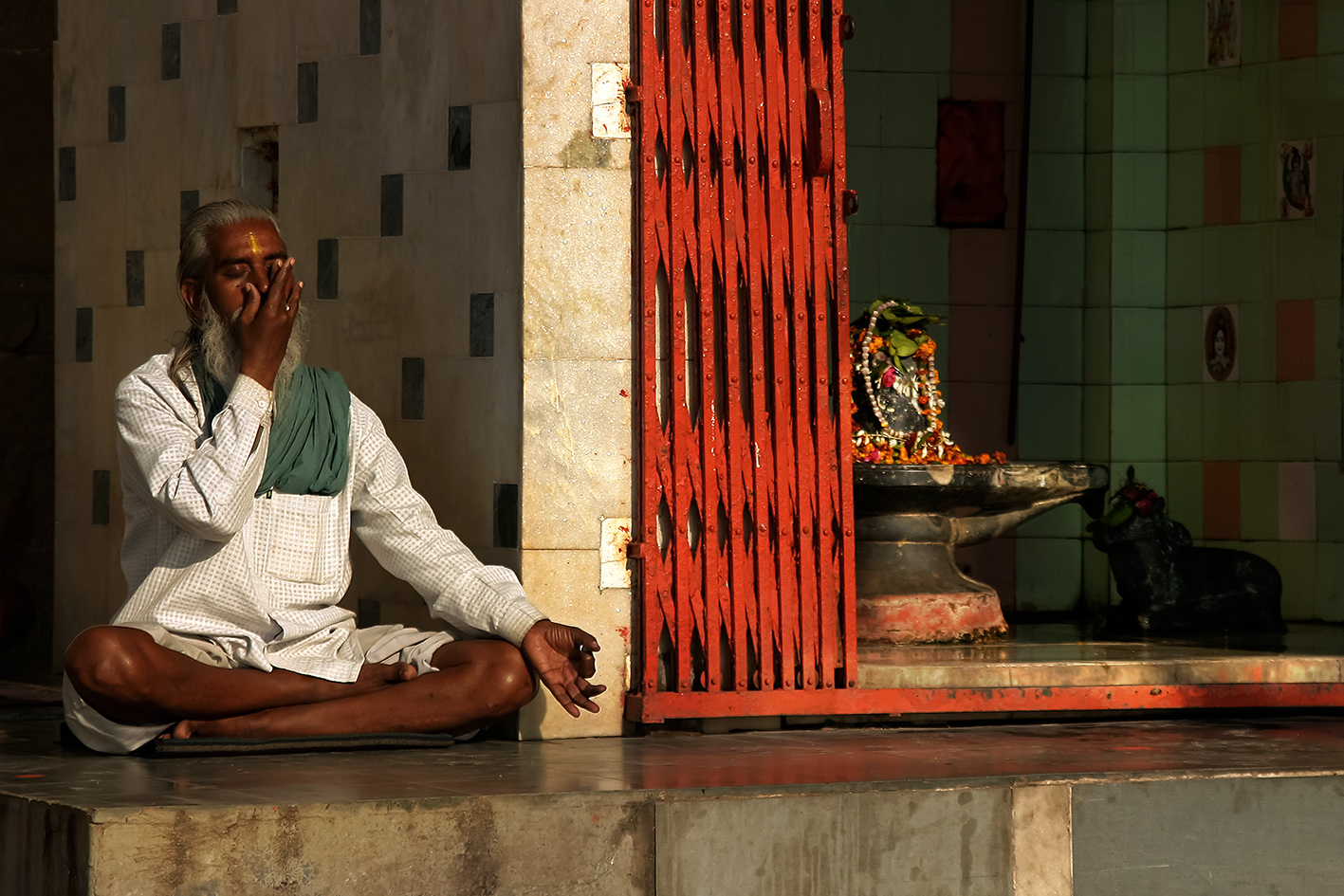 estaremos sós? - fotografia | photography